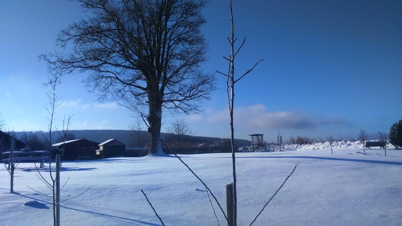 B&B All Seasons Winterberg Kültér fotó