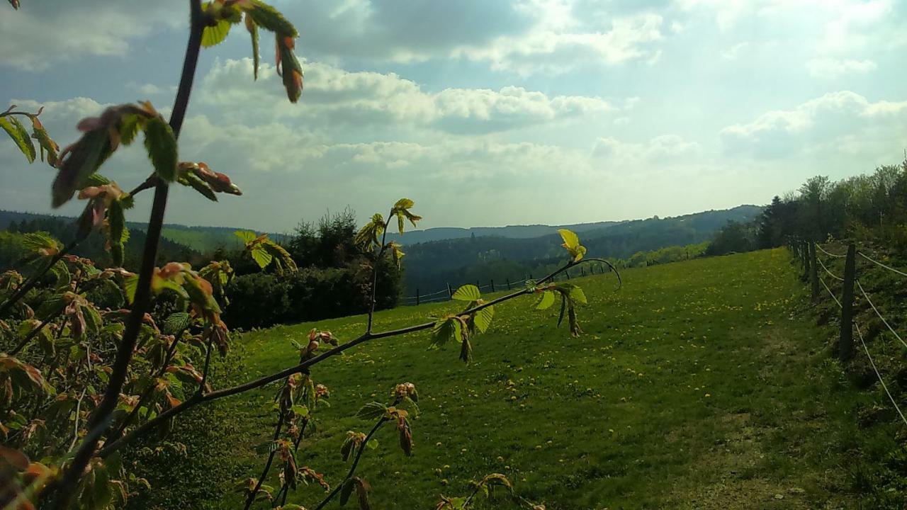 B&B All Seasons Winterberg Kültér fotó