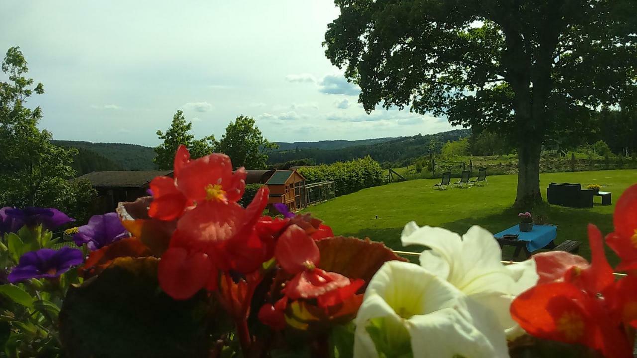 B&B All Seasons Winterberg Kültér fotó
